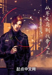 从军火商到战争之王TXT下载八零