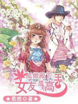 孤傲殿下:女友是高手