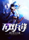 兵锋无双小说