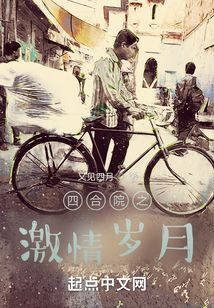 四合院之激情岁月