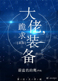 大佬,跪求装备![星际]txt