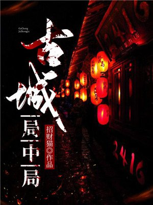 古董局中局 电视剧