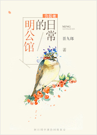 [伪装者]明公馆的日常 小说