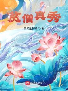 贫僧真秀 小说