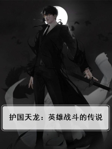 护国天龙:英雄战斗的传说