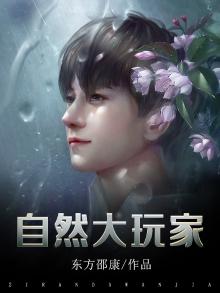 自然大玩家