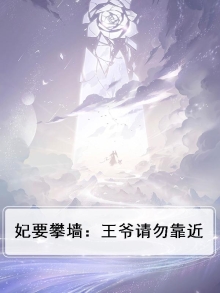 妃要攀墙:王爷请勿靠近