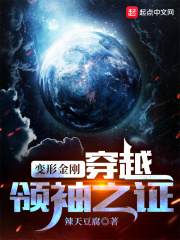 变形金刚:穿越领袖之证