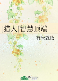 [猎人]智慧顶端