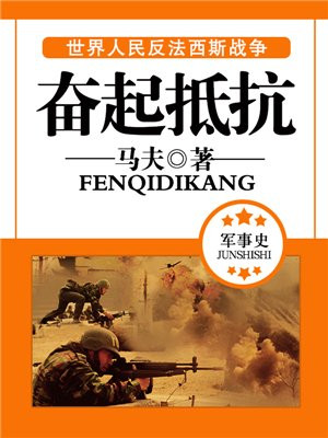 奋起抵抗 小说