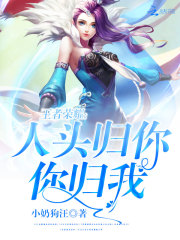王者荣耀:人头归你,你归我 小说