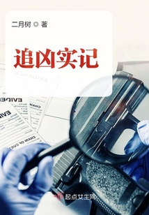 追凶实记