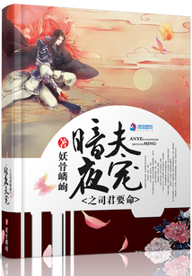 暗夜君王小说免费阅读