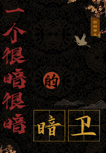 一个很暗很暗的暗卫中云舟是谁