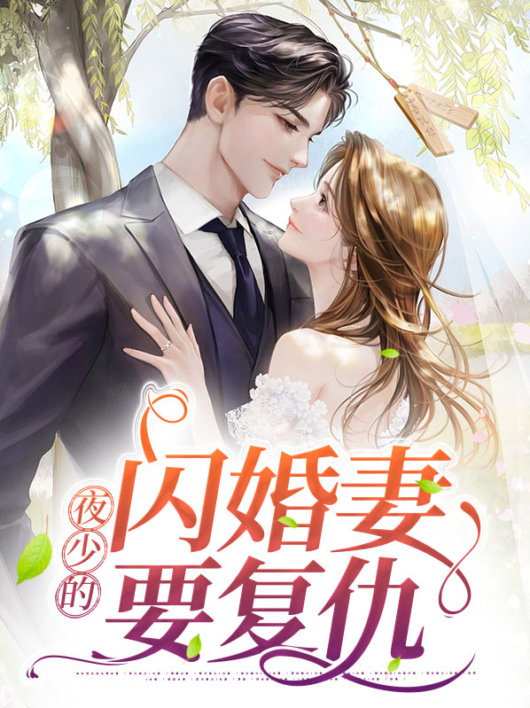 夜少的婚宠小说