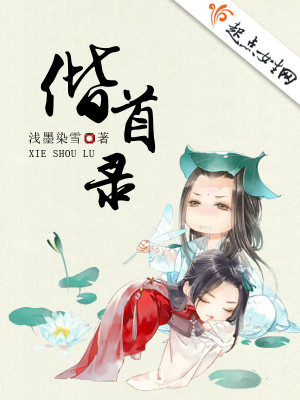 撩夫记讲的什么