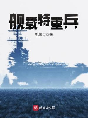 舰载特重兵下载