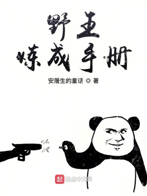 野王炼成手册TXT