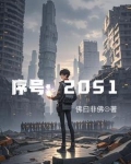 序号：2051