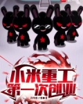 小米重工，第一次创业！