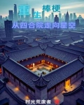 重生棒梗，带贾家发家致富