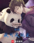 半岛：我可是纯爱！