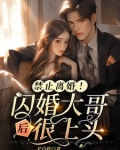 禁止离婚！闪婚大哥后很上头