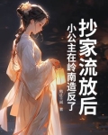 抄家流放后，小公主在岭南造反了