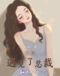 总算遇见了总裁