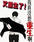 我真没想重生啊：又重生了！