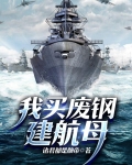 我买废钢建航母