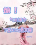 惊！气运被夺，下堂妇火爆京圈