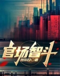 官场智斗