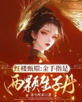 红楼甄嬛：金手指是两颗生子丹