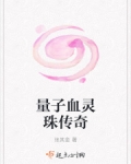 量子血灵珠传奇