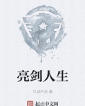 亮剑人生