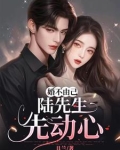 婚不由己：陆先生先动心