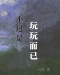 不过是玩玩而已