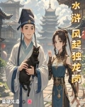 水浒风起独龙岗