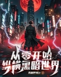 从零开始，纵横黑暗世界