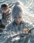 命运双生：长夜将明