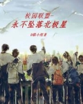 校园联盟-永不坠落北极星