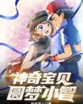 神奇宝贝：圆梦小智