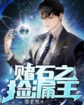 赌石之捡漏王