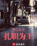 香江风云：扎职为王