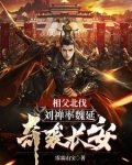三国刘禅为相父加寿自己却想躺平