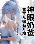 神眼奶爸：鉴宝从赌石开始！