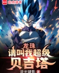 龙珠：请叫我超级贝吉塔