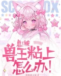 报告！你的毛茸茸来啦！