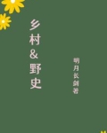 乡村野史